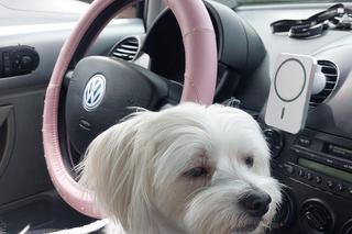 „Czy te oczy mogą kłamać?”. Na pewno nie! Zobacz milusińskich naszych Czytelników! Zakochasz się od pierwszego wejrzenia. Zobacz