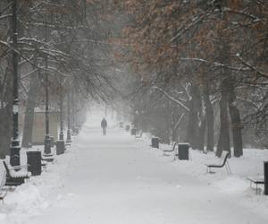 Wielka śnieżyca w Warszawie. Kiedy przestanie sypać? Zaskakująca prognoza