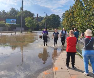 Stabłowice. Tak ratowali gołębie z działek