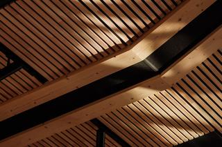 Biurowiec Spor X w Drammen: jeden z najwyższych drewnianych budynków Norwegii