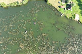 Szymon i Wojtek utonęli w dzikim stawie. Bóg widzi śmierć inaczej niż my