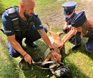 Wyjątkowa wizyta 7-letniego bohatera. Lucjan pojawił się w Komendzie Miejskiej Policji w Toruniu