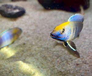 Rozmawiamy z Tomaszem Wiśniewskim, założycielem Aqua Dreams Bydgoszcz