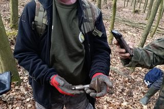 Sensacyjne odkrycie! Znaleziono szczątki myśliwca w lesie pod Ostródą