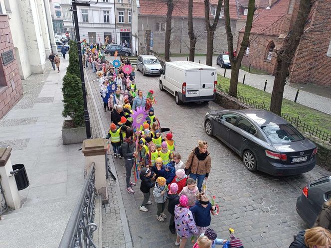 Przemarsz przedszkolaków z marzannami ulicami Grudziądza