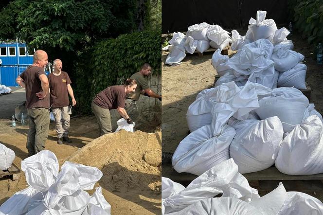 ZOO we Wrocławiu przygotowuje się na najgorsze. „Jesteśmy w ścisłym kontakcie z miejskim sztabem kryzysowym"