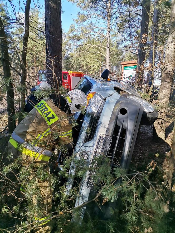 Wypadek na DW 686. Kierowca renault "zaparkował" między drzewami [ZDJĘCIA]