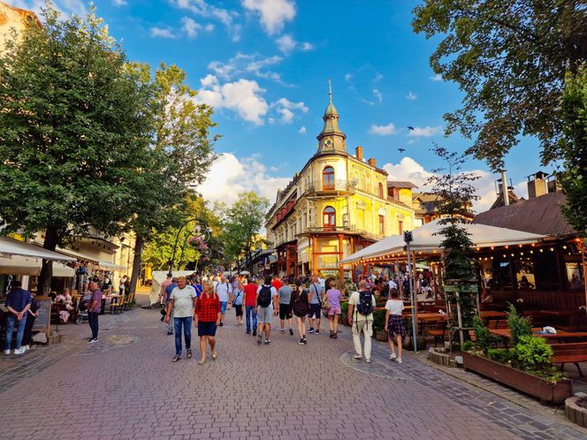 Najlepsze województwo w Polsce. Sztuczna inteligencja wybrała woj. małopolskie