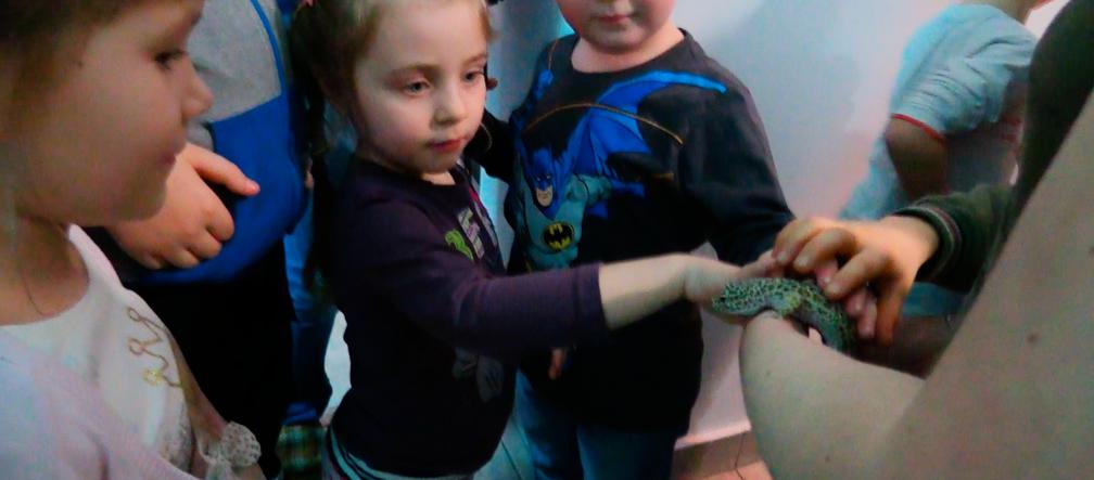 Muzeum Przyrodnicze w Krakowie: Jaszczurki i węże też lubią przytulanie!