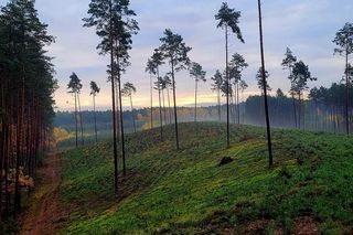 Sztafeta wsparcia. Pobiegną razem dla 8-letniego Piotrusia