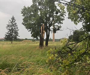 Tragiczne skutki nawałnicy na Kujawach i Pomorzu! Jednej osoba wciąż nie odnaleziono