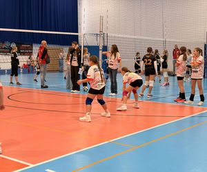 Siatkarski turniej z okazji Święta Niepodległości w Grudziądzu