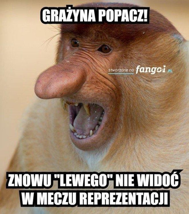Memy po meczu Polska-Holandia
