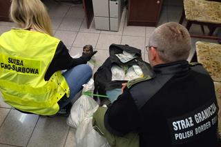 Przemycali 30 kg bursztynu pociągiem z Ukrainy. Zatrzymano maszynistów