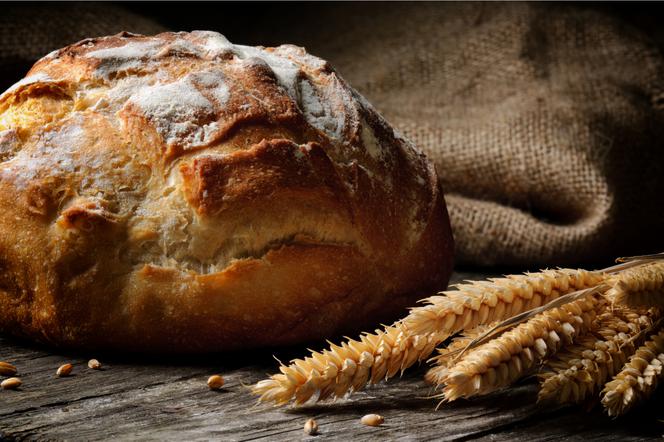 16 X Dzień Chleba - 21 przepisów na pyszny domowy chleb