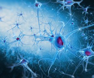 ELEKTRONEUROGRAFIA (ENG) - badanie rozpoznające choroby neurologiczne