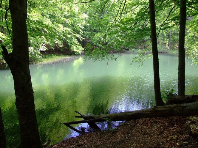 Jeziorka Duszatyńskie