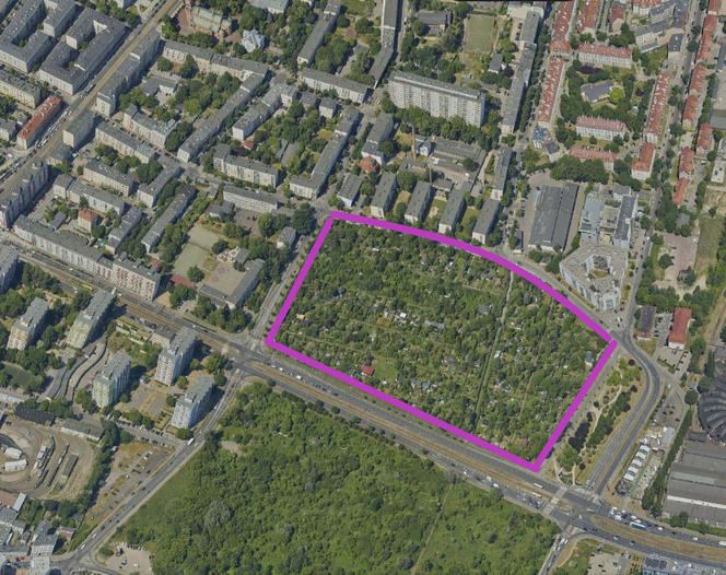 Na Łazarzu, zamiast ogródków działkowych może powstać park. Działkowcy protestują