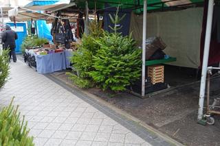 Drzewka świąteczne na Rynku Jeżyckim w Poznaniu