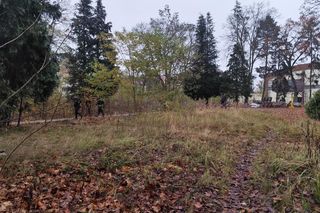 Bójka w centrum miasta. W ruch miał pójść nóż! 23-latek zmarł w szpitalu