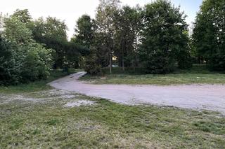 We Wrocławiu ma powstać nowa plaża. Sprawdź, gdzie planowany jest nowy beach bar