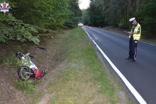 MAKABRA na drodze! 21-letni motocyklista ZGINĄŁ po zderzeniu z łosiem