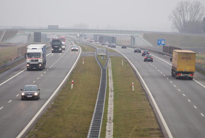 UE pomoże Polsce w walce z Niemcami i Francją? Skorzystać mogą przewoźnicy
