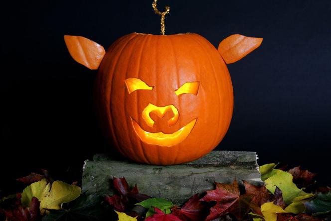 dynia-na-halloween 3