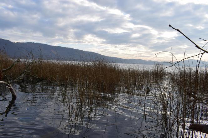 Niemiecki wulkan Laacher See