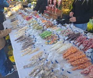 Wszystkich Świętych 2025 w Krakowie