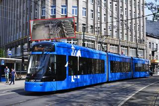 Wybuch tramwaju w Krakowie! Potężna eksplozja na pl. Centralnym. Wiemy, co się stało [WIDEO]