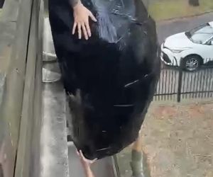 Gigantyczny pająk z plastikowych butelek ozdobił dom w Lublinie