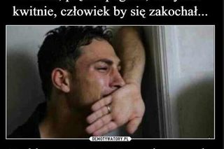 MEMY: 1 Dzień wiosny i Dzień Wagarowicza