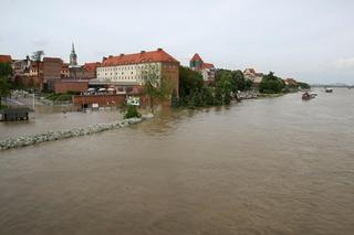Toruń 2010