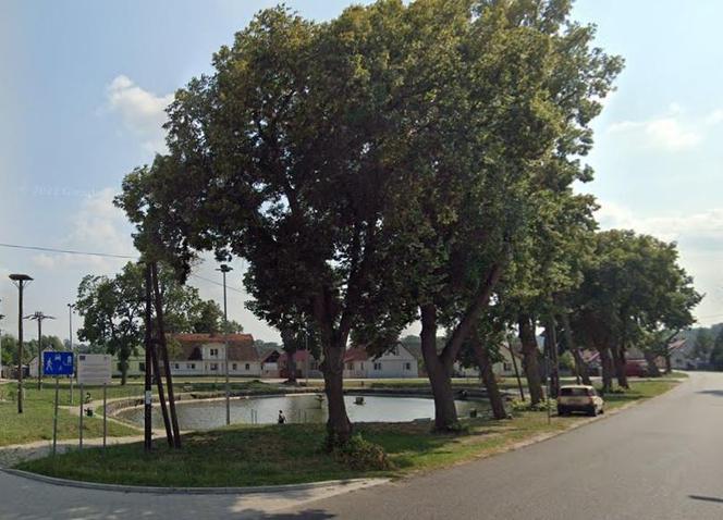 7. Zabór