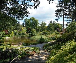 Arboretum Wojsławice - zdjęcia. Kiedy jechać?