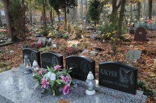 Cmentarz dla zwierząt w Koniku Nowym. „Moje serce jest Twoim domem, będziesz w nim żył dopóki będzie biło”