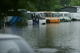 Burze i ulewy w całej Polsce! Tam było najgorzej. Drzewo runęło na autobus!