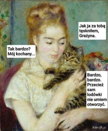 Koty opanowały internet! Memy z mruczkami bawią do łez [TOP 45]