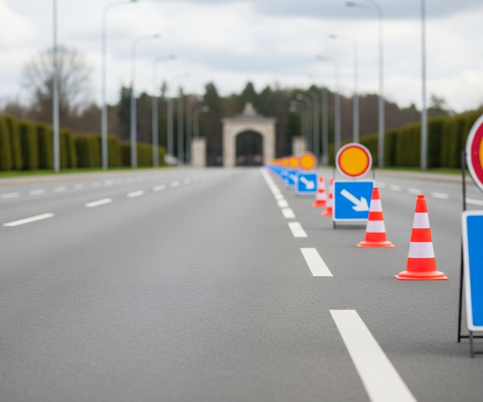 Na obrazie widoczna jest pusta droga pokryta szarym asfaltem, z białymi, przerywanymi liniami wyznaczającymi pasy ruchu, biegnącymi w głąb kadru. Po prawej stronie drogi, wzdłuż krawędzi, ustawiono szereg pomarańczowo-białych pachołków drogowych oraz niebiesko-białych kwadratowych znaków z białymi strzałkami skierowanymi w prawo i dół. Część tych znaków ma także nad sobą okrągłe znaki zakazu w kolorze żółtym z czerwoną obwódką. Po obu stronach drogi, w tle, widoczne są rzędy gęsto posadzonych zielonych krzewów lub drzew, a za nimi pojedyncze, nagie drzewa oraz rzędy ulicznych lamp. Na horyzoncie, w oddali, rysuje się niewyraźny zarys łukowej konstrukcji bramy, całość pod pochmurnym, jasnoszarym niebem.