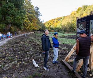Co dalej z Polanką Redłowską? Trwa drugi etap konsultacji społecznych 