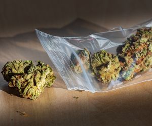 Syntetyczna marihuana – narkotyk siejący spustoszenie w psychice