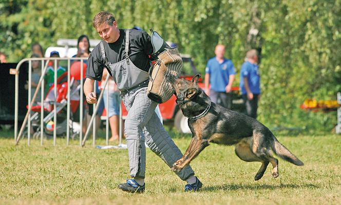 Komendant zaprasza na piknik