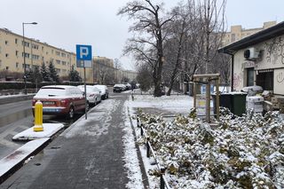 Spadł pierwszy śnieg