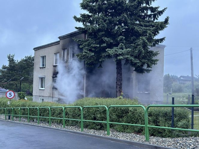 Bohaterska akcja strażaków. Z płonącego budynku wynieśli dwa koty i psa. Rodzina straciła cały dobytek