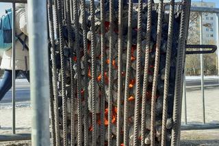 Koksowniki na toruńskich przystankach