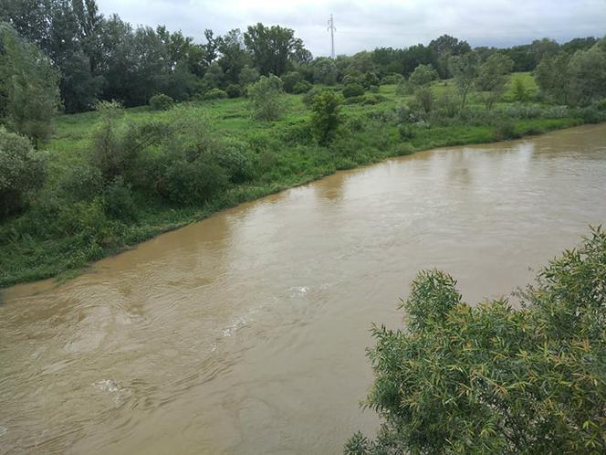 Wysoki Dunajec pod Tarnowem! Biała przy Azotach też przybiera