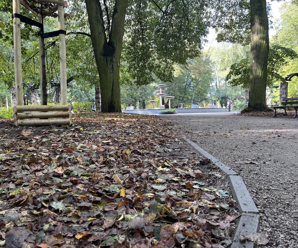 Park Kopernika w Gorzowie w jesiennej scenerii