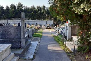 Nowy Sącz: Alejki na cmentarzu w dzielnicy Helena przejdą remont