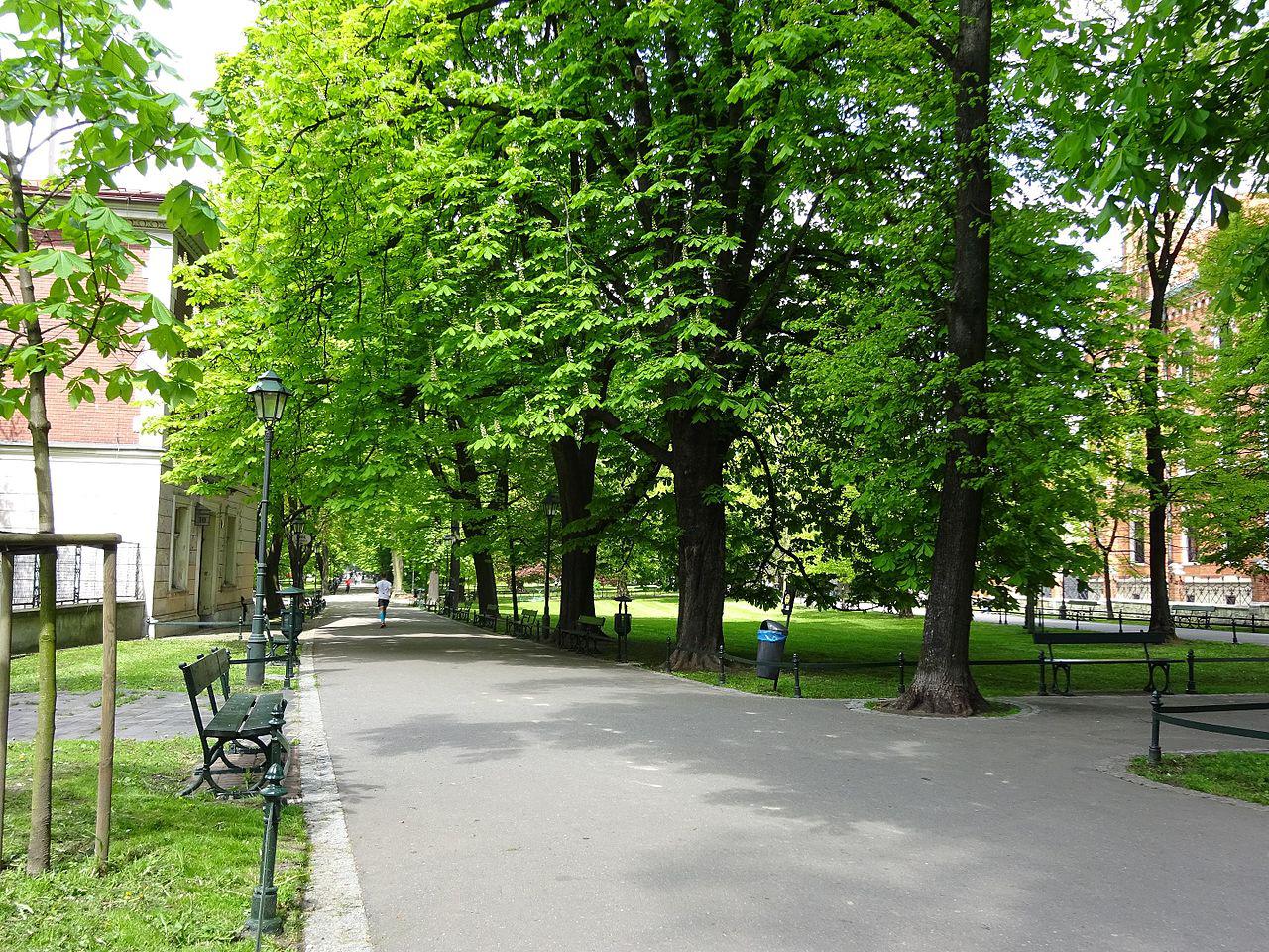 Wakacyjne koncerty wracają do Altany na krakowskie Planty